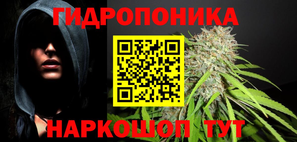Бошки марихуана THC 21% Кыштым